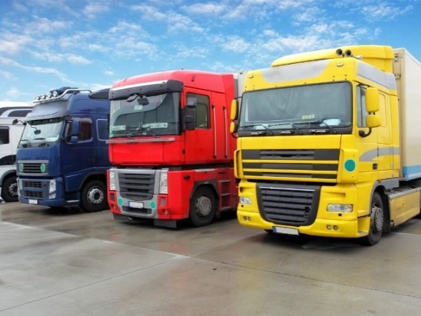 İzmir Sapanca Nakliye